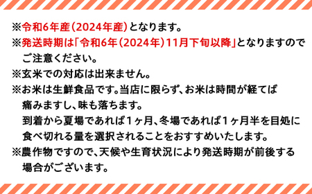 75-3N103【3ヶ月連続お届け】新潟県長岡産コシヒカリ10kg（特別栽培米）