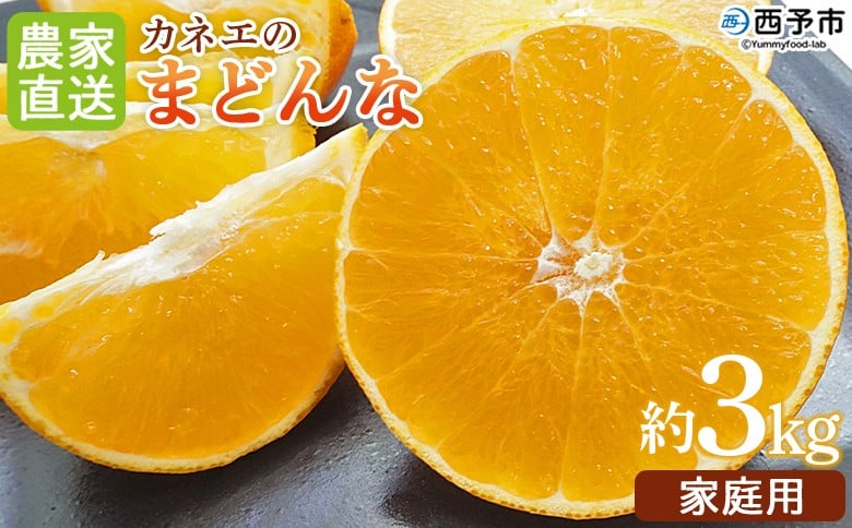 
            紅まどんなと同品種！＜まどんな 3kg前後 農家直送 家庭用 カネエの愛媛オリジナル品種＞ 果物 フルーツ みかん オレンジ 柑橘類 マドンナ 愛媛果試第28号 特産品 産地直送 いのうえ農園 愛媛県 西予市【常温】『2025年12月中旬から順次出荷予定』
          