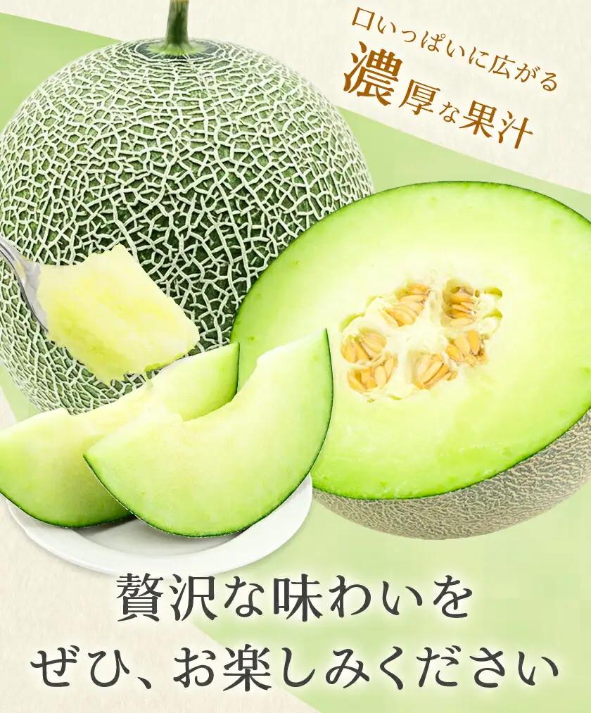 肥後グリーンメロン 1玉 熊本 株式会社エフビーネット《4月上旬-7月上旬頃出荷》