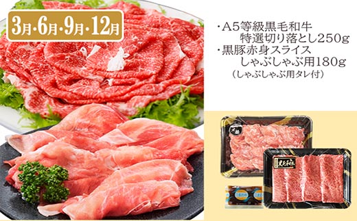 定期便(3回配送)鹿児島産A5等級黒毛和牛&黒豚　EE-6014【1471286】_ ふるさと納税 定期便 牛肉 豚肉 A5等級 黒毛和牛 黒豚 焼肉 サーロイン ステーキ ハンバーグ しゃぶしゃぶ 