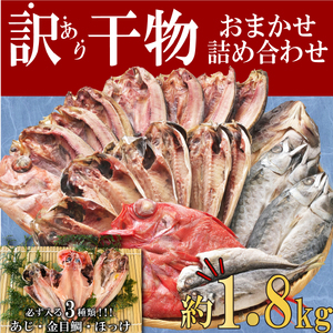 【2025年05月発送】  干物 訳あり 干物 ひもの 約1.8kg おまかせ 詰め合わせ 干物 セット 本場沼津 規格外 不揃い 