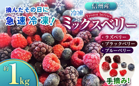 ベリー ミックス 信州 伊那産 冷凍 ミックスベリー 1kg 国産 ベリー 3種 ：ラズベリー ・ ブラックベリー ・ ブルーベリー | 果物 フルーツ ベリー 手摘み 急速冷凍 木の実 スムージー ビタミンC 長野県 伊那市 【019-13】