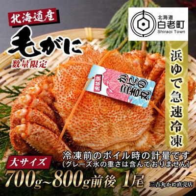 ふるさと納税 白老町 【浜ゆで自社タグ付】北海道産ボイル毛ガニ700g〜800g前後×1尾