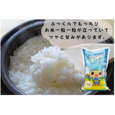 ふるさと納税 滑川市 滑川産コシヒカリ(令和7年産新米/精米)5kg |  | 01