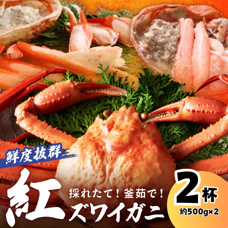 【ふるさと納税】2匹【釜茹で】／採れたて！釜茹で！紅ズワイガニ 2杯 かに 姿 紅ずわい 国産 期間限定 冷蔵 蟹 お取り寄せ 高級 おすすめ 旬 カニ味噌 かに味噌 ベニズワイガニ 簡単 ボイル済 500g