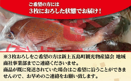 【朝どれピチピチの鮮魚をお届け！】旬の鮮魚 詰め合わせ セット 3〜5種類【松園水産】[RBO011]