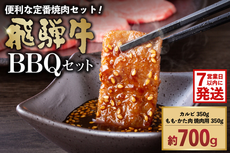 飛騨牛BBQセット（カルビ350g、もも・かた肉 焼き肉用350g）【0016-022】