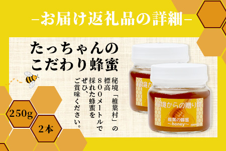 標高800m たっちゃんのこだわり蜂蜜【250g×2本】宮崎県 椎葉村 秘境 蜂蜜 はちみつ ハチミツ みつばち ミツバチ 伝統的 養蜂 国産 天然 百花蜜 巣箱 数量限定 季節 希少 500g