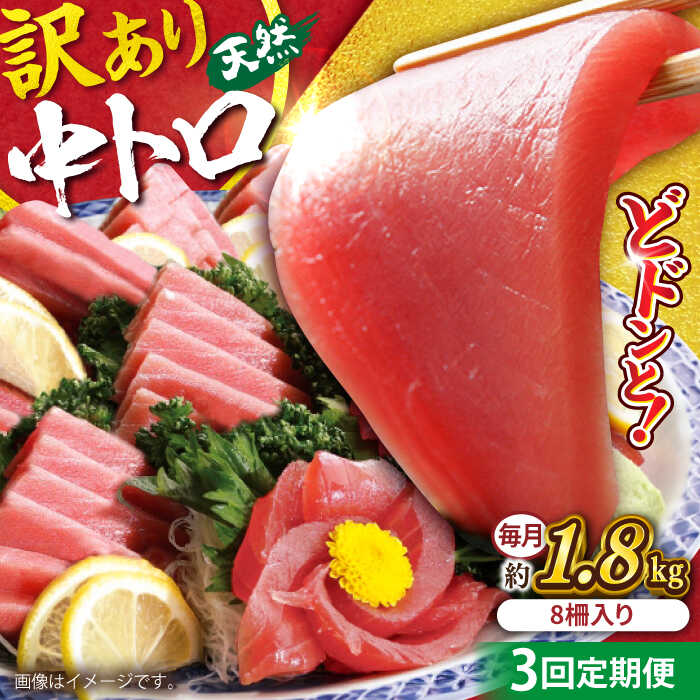 【ふるさと納税】【全3回定期便】【訳あり】天然 まぐろ 中トロ メバチ 計約1.8kg (8柵入り) マグロ 定期 鮪 まぐろ 中とろ 刺身 定期便 横須賀 規格外 【本まぐろ直売所】[AKAK053]