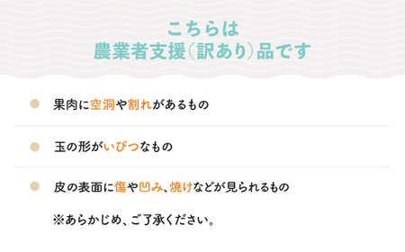 すいか 新山寺すいか ご家庭用 大玉 約6〜8kg前後 1玉 2025年産 令和7年産 山形県産 東北 果物 くだもの フルーツ 人気 オススメ 便利 グルメ 取り寄せ ご当地 特産 産地 直送 支援