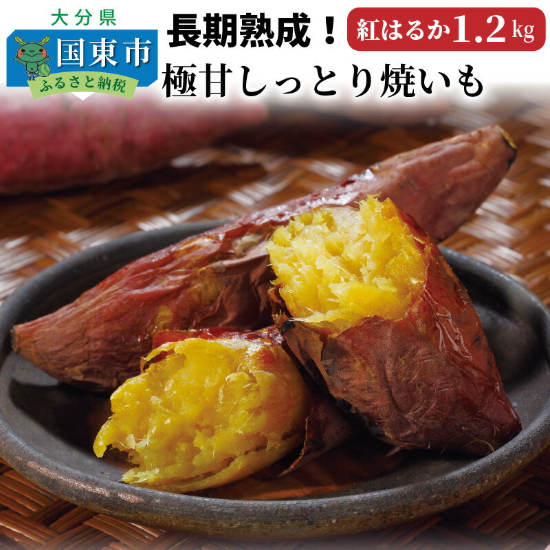 【ふるさと納税】長期熟成！極甘しっとり焼いも/紅はるか1.2kg