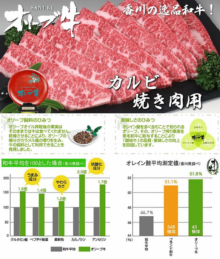 【ふるさと納税】黒毛和牛オリーブ牛　カルビ焼肉用　約500ｇ×3 ブランド牛 柔らかい肉質 BBQ 小分け 冷凍  秋 旬