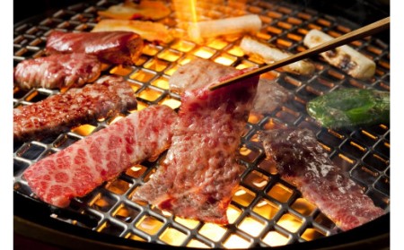 阿波黒牛（牛モモ焼肉＆切り落とし）600g　(牛モモ200ｇ|切り落とし400g)　　阿波黒牛　国産牛　高級　モモ肉　切り落とし　セット　ギフト　敬老の日　お歳暮　すき焼き　肉じゃが　カレー　　牛丼　