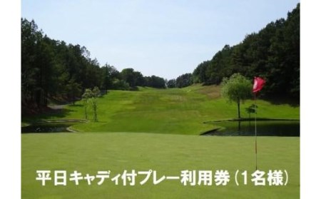 【ゴルフ利用券】エリエール ゴルフクラブ松山 平日キャディ付プレー利用券１名 | ゴルフ ゴルフ ゴルフ ゴルフ ゴルフ【ER0041】