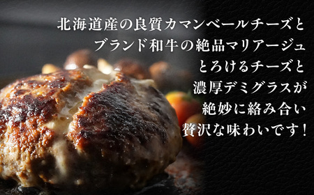 【6ヶ月定期便】道産和牛カマンベールチーズハンバーグ（200g）3個入り MROA175