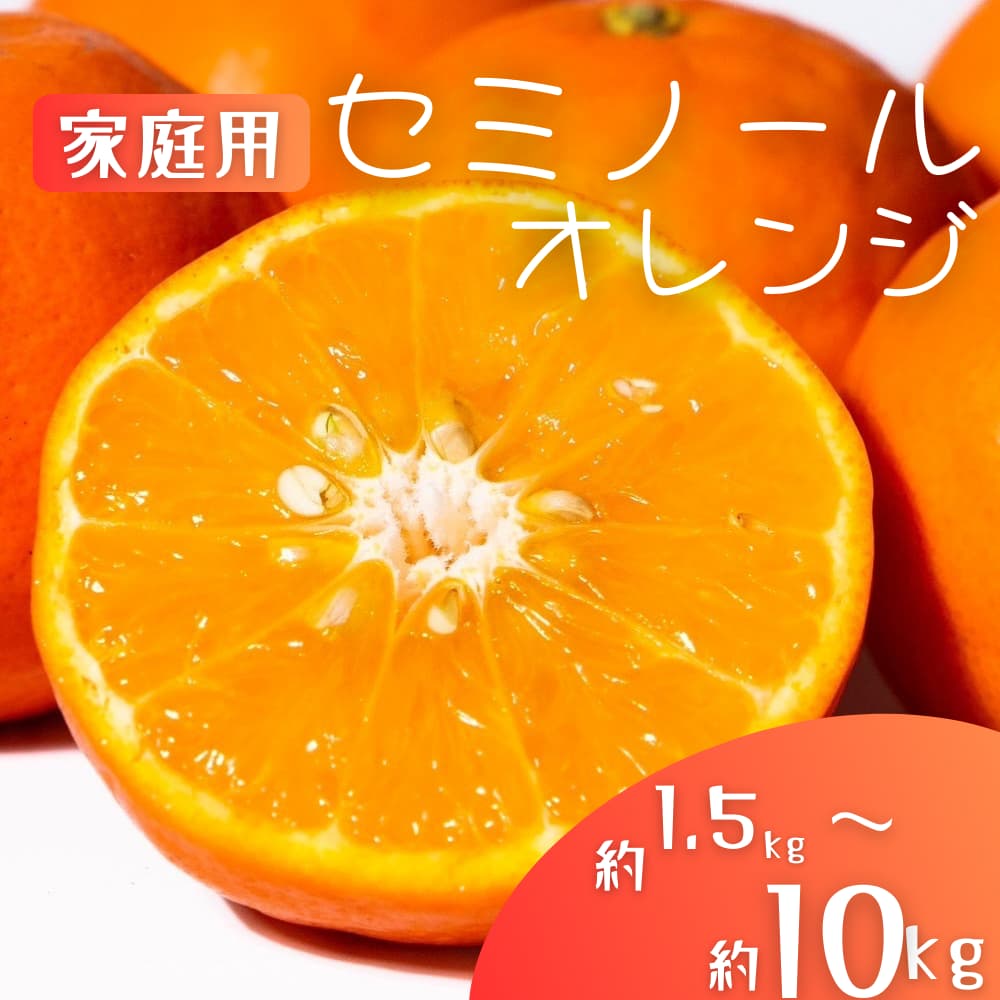【ふるさと納税】国産 オレンジ 希少 手選別 セミノールオレンジ 【家庭用・訳あり】 約1.5kg / 約4.5kg / 約6kg / 約8kg / 約10kg 和歌山県産 サイズ混合 【北海道・沖縄・離島配送不可】【2026年2月上旬～5月中旬頃に順次発送】