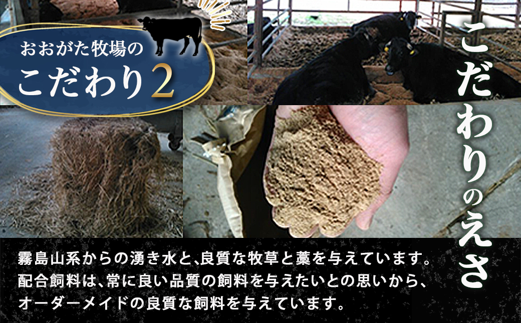 黒毛和牛モモ焼肉用500g_14-3302