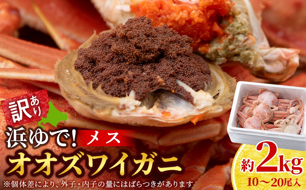 
                  【7営業日以内発送】訳あり オオズワイガニメス (約100-200g前後) 浜ゆで 2kg (10～20尾入)
                