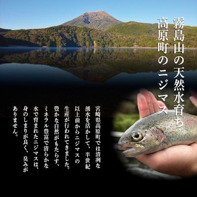 ふるさと納税 高原町 奥霧島の山河の恵み ニジマスの干物[晩酌 朝食 ギフト お土産] TF791 |  | 01