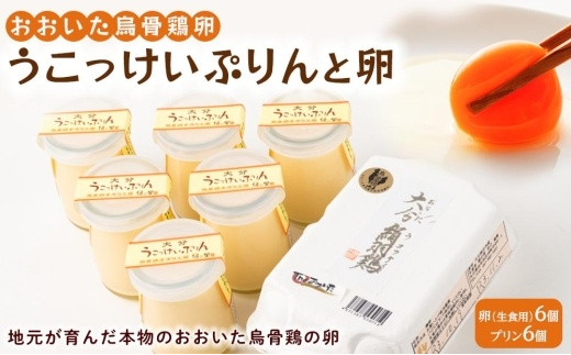 
大分うこっけい卵（生食用６個）と大分うこっけいプリン６個のセット
