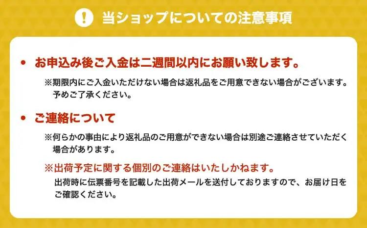 先行予約 令和9年産 荒造り新茶 3袋セット【2027年6月中旬〜6月下旬頃順次発送予定】 茶葉 お茶 新茶 緑茶