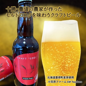 【3ヶ月定期便】十勝 北海道 豊頃の農家が作ったクラフトビール330ml×6本 ビール
