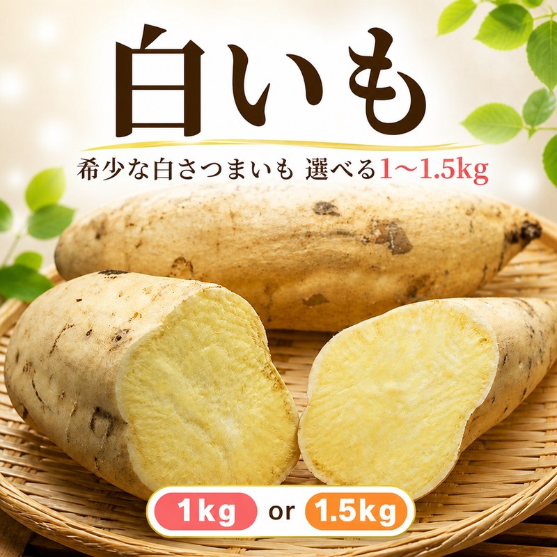 【ふるさと納税】 《 先行予約 》 白いも 1kg 1.5kg さつまいも サツマイモ 甘い ほくほく 希少 伝統野菜 さつま芋 天ぷら 焼き芋 蒸かし芋 大学芋 徳島 三好市 旬 秋の味覚