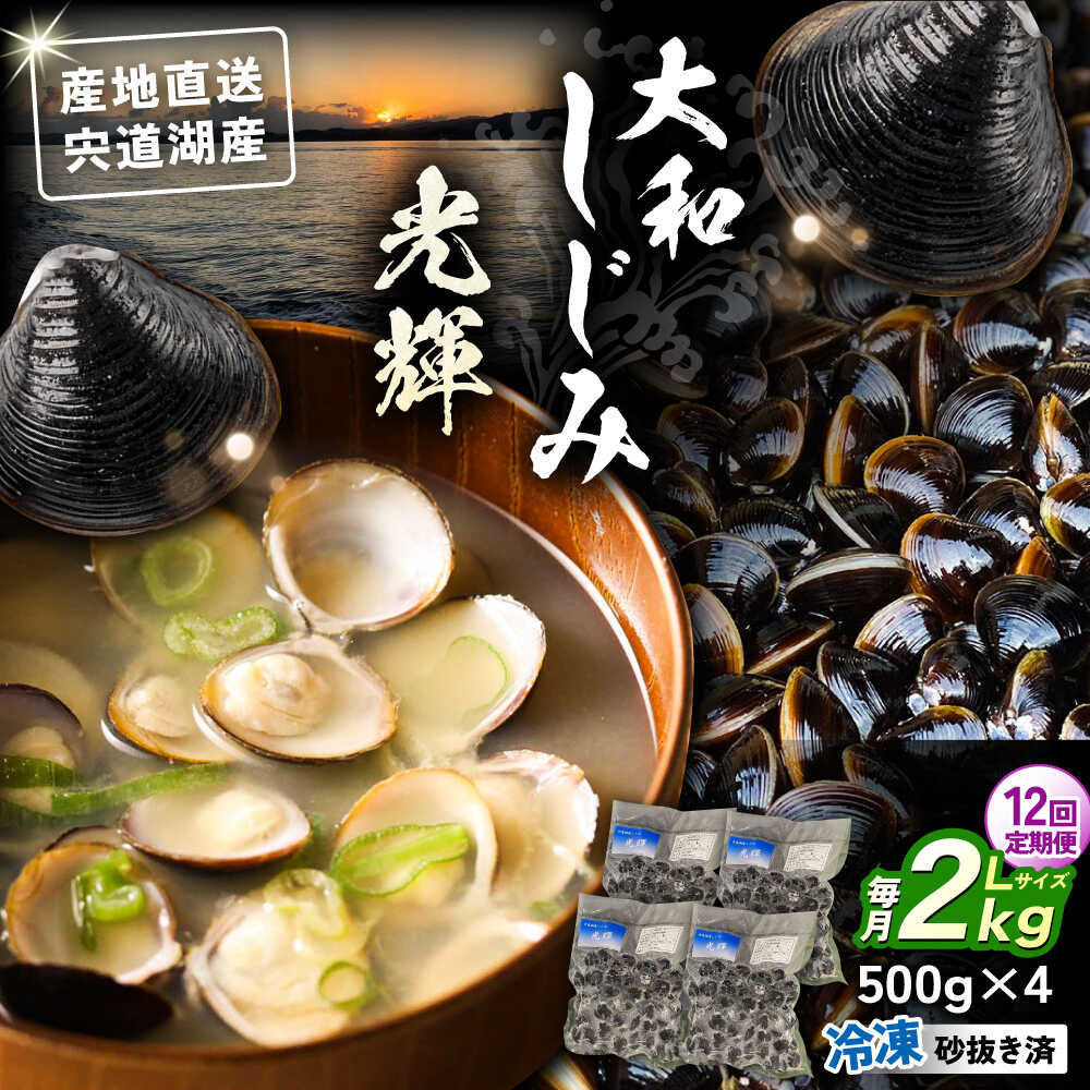 【ふるさと納税】【全12回定期便】産地直送！ 宍道湖産 冷凍大和しじみLサイズ2kg(500g×4) 砂抜き処理済 島根県松江市/りすたむmatsue[ALDE012]