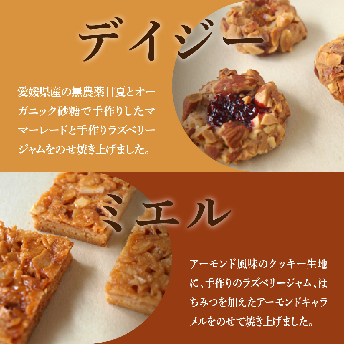 クッキー8種[005-a002] [お菓子 焼菓子 詰合せ 手作り ハンドメイド ギフト 化粧箱 新鮮 安心 美味しい 国内産 添加物 アイスボックス ごあ 有機 宇治 抹茶 きなこ 黒ごま 甘夏 バ