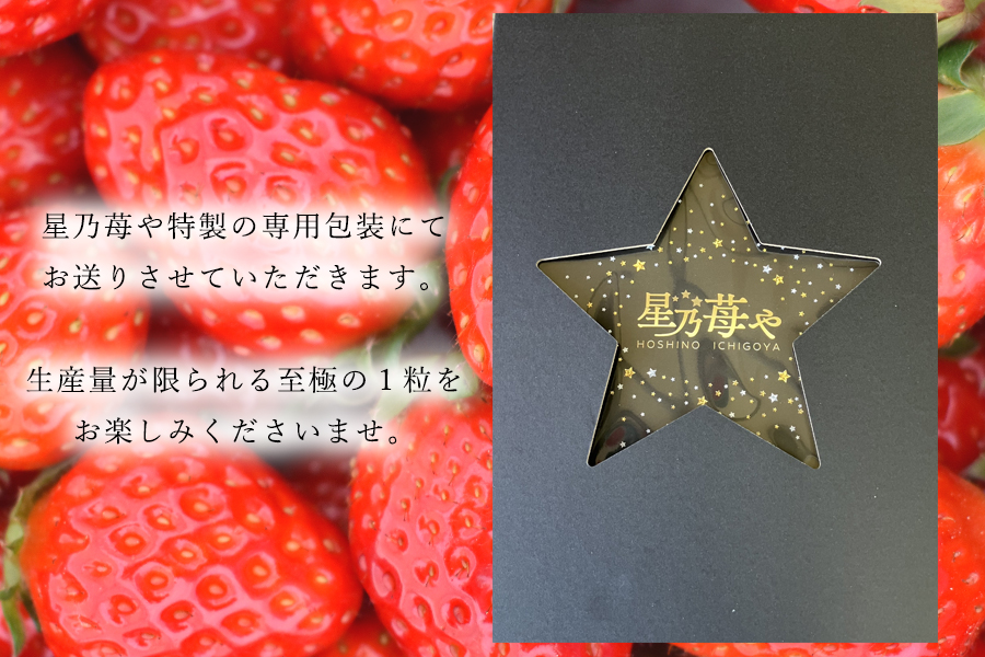 【先行予約】【古都華】【特選】 大粒 6粒 2026年1月発送  // いちご イチゴ 古都華 奈良 奈良県