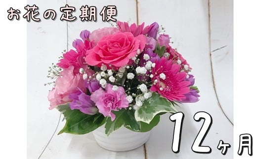 お花の定期便 フラワーアレンジメント 12ヶ月連続届く 【760】