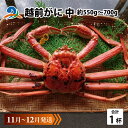 【ふるさと納税】【先行予約】越前がに 中 (約550g～700g)×1杯 【11月～12月発送】/ 雄 ズワイガニ ずわいがに ズワイ蟹 越前ガニ ボイル 冷蔵 ご自宅用 カニ しゃぶしゃぶ 海鮮 カニすき カニ鍋 カニしゃぶ かに 国産南越前町 送料無料