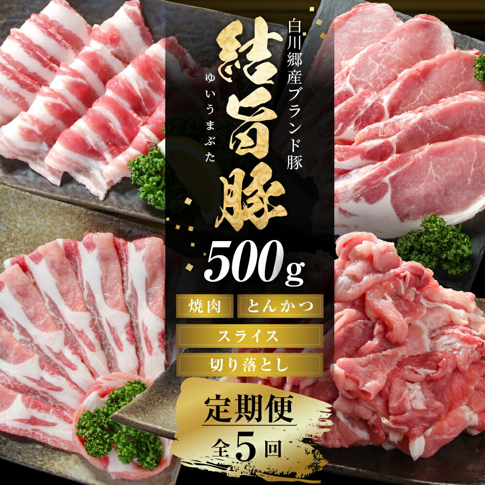 【ふるさと納税】《定期便》全5回 結旨豚（焼肉・しゃぶしゃぶ・切り落とし）500g×5か月 冷凍真空パック | 肉 お肉 豚肉 国産 食べ比べ セット 白川郷 岐阜県 白川村 ブランド豚 人気 おすすめ ギフト 飛騨高山ミート 40000円 [MS101]