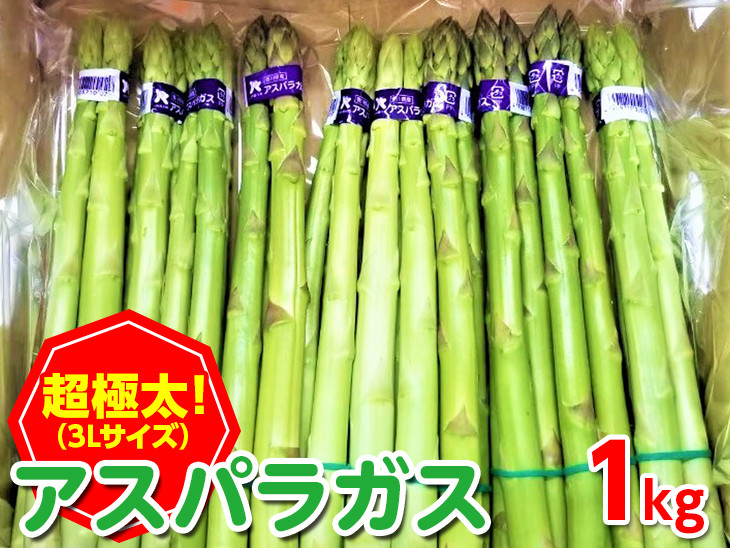 
                  ＜期間限定！2026年2月下旬以降順次発送予定＞＜極太＞アスパラガス(約1kg/3Lサイズ) 【man095】【Aglio nero】
                