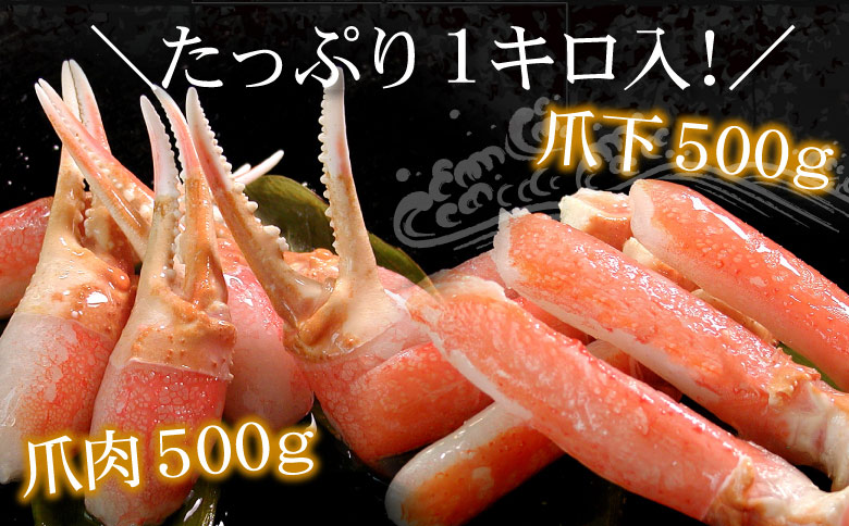 ズワイガニのかに爪刺身セット（計1kg入） B-56020