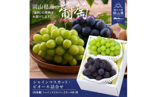CS-13【令和8年発送】シャインマスカット・ピオーネ詰合せ