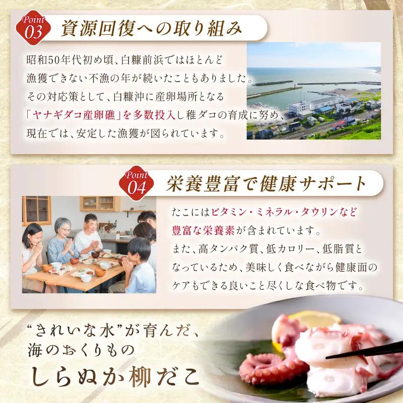 しらぬか産刺身用柳だこ【600g×2個】_I025-0136
