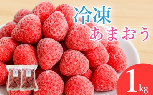 冷凍あまおう フローズンあまおう 苺 あまおう 1kg (500g×2P)  いちご あまおう 福岡県産苺 イチゴ strawberry ichigo 数量限定 氷彩あまおう 冷凍 福岡県産 福岡 川崎