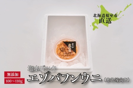 エゾバフンウニ(赤色等含む)塩水パック100～110g×1パック A-22001