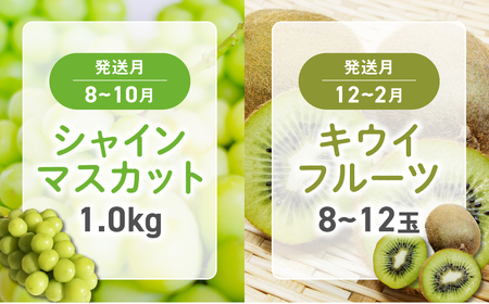 ☆先行予約☆2025年　配送地域限定　旬野菜　フルーツ　6回　定期便　【先行予約　先行　野菜　朝採れ　フルーツ　いちご　トウモロコシ　とうもろこし　ドルチェドリーム　桃　もも　巨峰　シャインマスカット