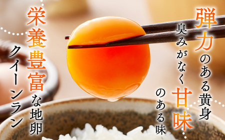 【毎月定期便】黄身がつかめる新鮮地たまご クイーンラン 赤玉 75個入り全5回 No.594