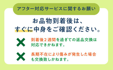 【訳あり】＜先行予約＞ 【2024年6月中旬-7月初旬順次発送】 タカミメロン  約5kg（3～5玉） フルーツ 果物 国産 小値賀町/ながさき西海農協小値賀地区園芸部会 [DAT003] [DAT0