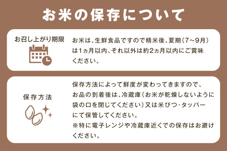 【令和7年産】【定期便】石見産きぬむすめ　1年分（5kg×12回コース）定期便 12回 白米 玄米 特産品 ごはん  きぬむすめ 贈答 贈り物 ギフト お中元 お歳暮 【058_1838】