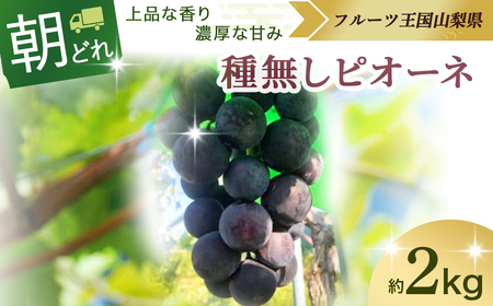 【2025年分発送】 種なし ピオーネ 約2㎏ 先行予約 先行 予約 山梨県産 産地直送 フルーツ 果物 くだもの ぶどう ブドウ 葡萄 新鮮 人気 おすすめ 国産 贈答 ギフト お取り寄せ プレゼント お供え お見舞い お中元 御中元 暑中見舞い 山梨 甲斐市 令和7年発送分 AV-34