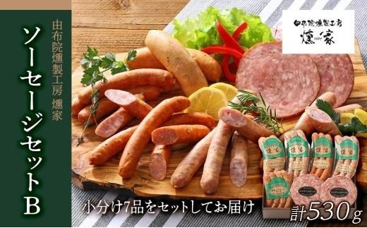 
                  【お歳暮】【由布院燻製工房 燻家】ソーセージセットB 計530g＜小分け7品をセットしてお届け＞ | 燻製 ギフト お歳暮 ハム ソーセージ ベーコン セット 詰め合わせ 国産肉 冬ギフト 贈答用 プレゼント 食品ギフト お取り寄せグルメ 人気 おすすめ 由布院燻製工房 大分県 由布市
                