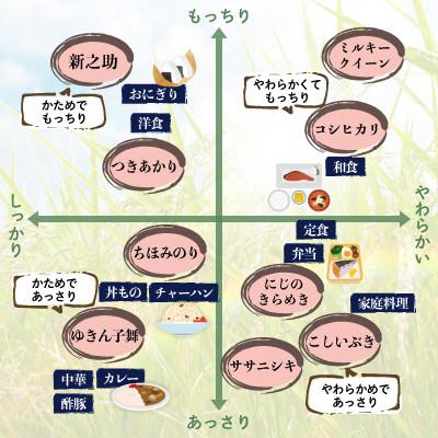 ふるさと納税 佐渡市 佐渡　川上農産のコシヒカリ 精米　4kg(2kg×2袋) |  | 03