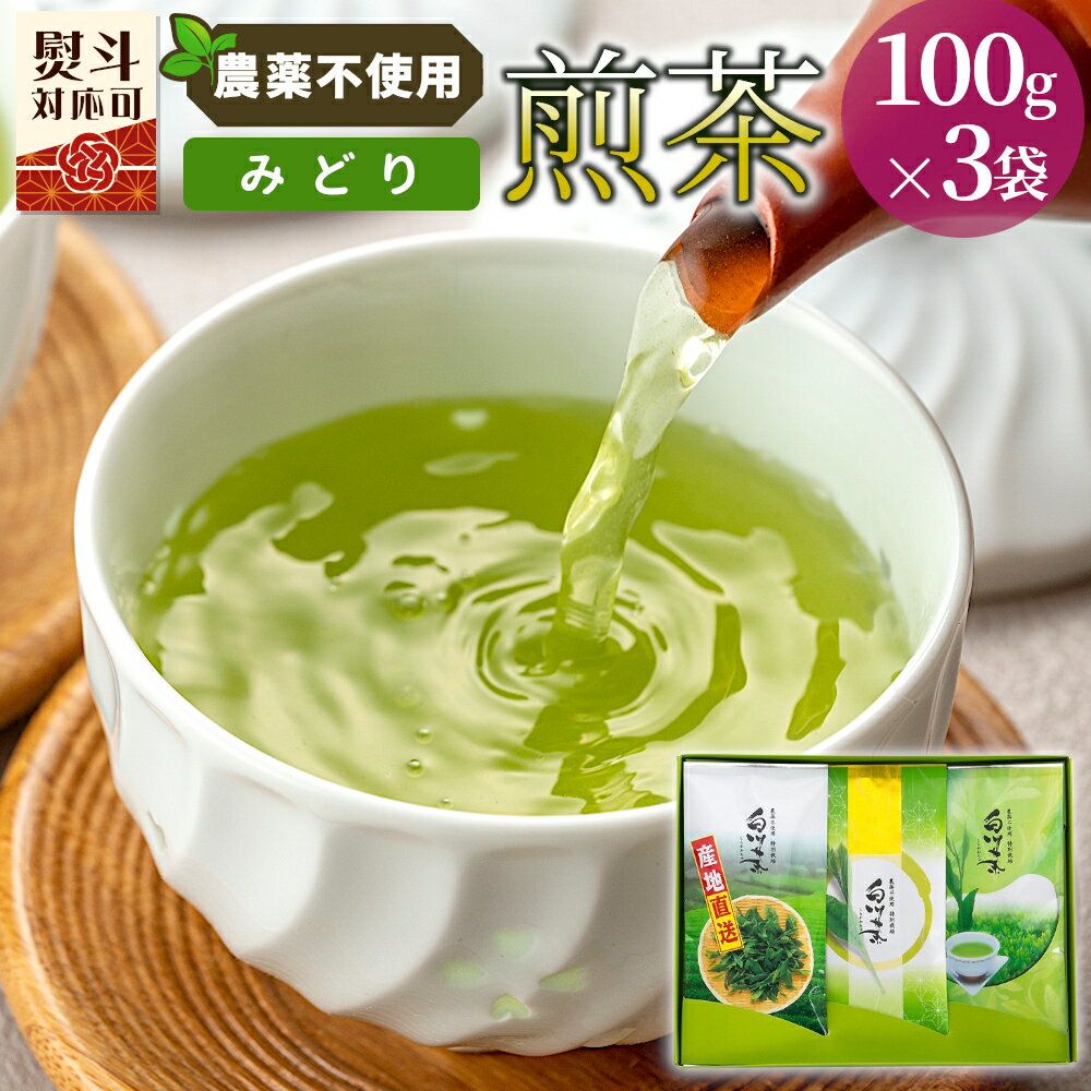 【ふるさと納税】農薬不使用！煎茶 ギフト NO.29 （みどり100g×3 計300g） 常磐園 みどり 日本茶 緑茶 煎茶 茶葉 白川茶 美濃白川茶 農薬不使用栽培茶 お茶 一番茶 春摘み 大容量 岐阜県 東白川村 お取り寄せ 贈答用 プレゼント 母の日 ギフトセット