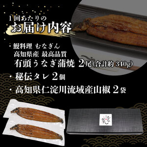 【12回定期便】 うなぎ蒲焼 約170g×2尾 高知県産 最高品質 合計約340g たれ 山椒 国産 鰻 かば焼 土佐焼 うな丼 うな重 高知県 南国市