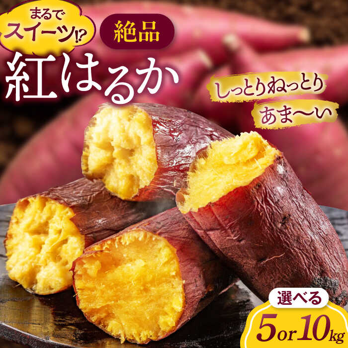 【ふるさと納税】【選べる容量】さつまいも（紅はるか）5～10kg 愛媛県大洲市/たいき産直市愛たい菜[AGAP020] さつまいも 5kg さつまいも 10kg 紅はるか 焼き芋 紅はるか しっとり あまい 野菜 スイートポテト