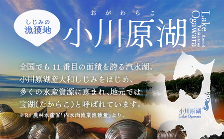 【 3ヵ月定期便 】砂抜き済みで手間いらず！冷凍・小川原湖産大和しじみ1kg（250g×4袋）【02408-0089】